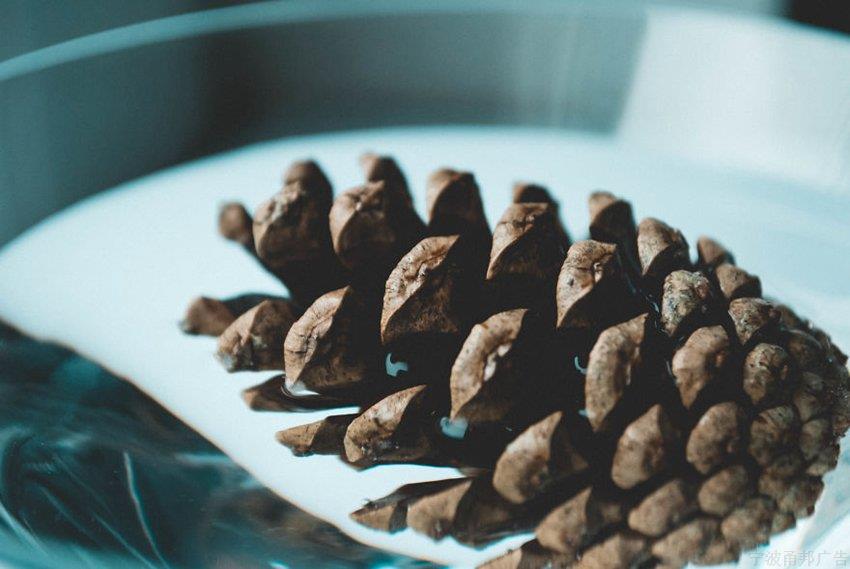 如何把平凡的事物拍出惊艳感 如何把平凡的事物拍出惊艳感